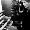 albi_fred_170814